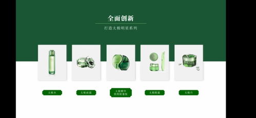 上海家化發布2020品牌戰略規劃，多品牌推出抗疫產品并強化文化傳播